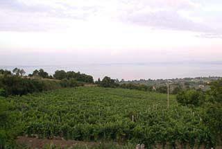 Agriturismo Belvedere Bolsena Exterior foto